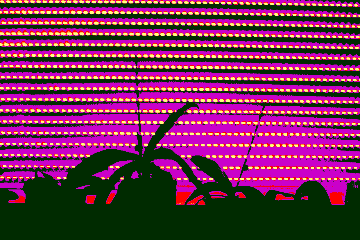 "morning sun" ©2013 Josi Bennöhr