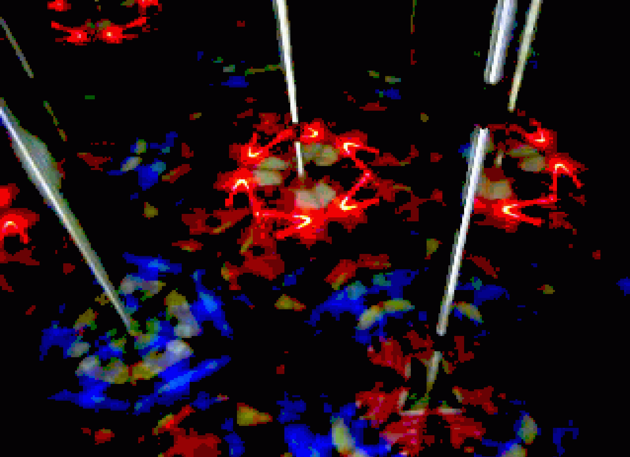 "Kaleidoskop 3" ©2014 Josi Bennöhr