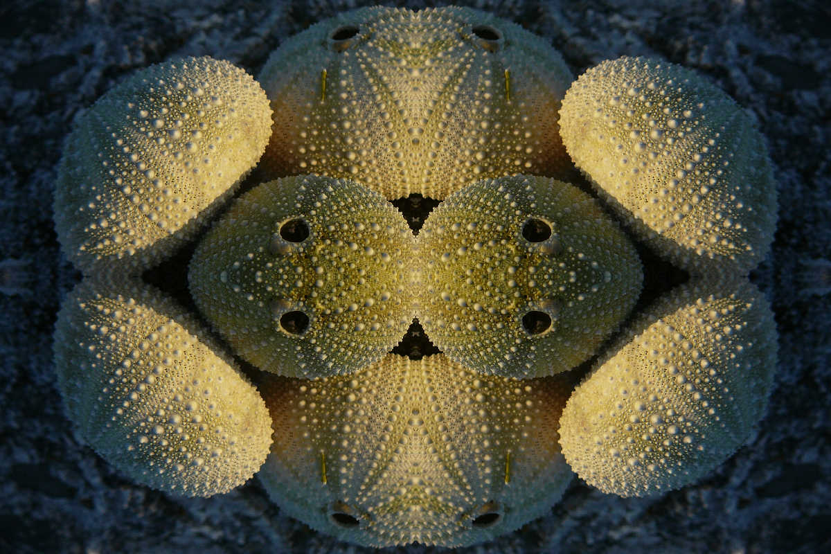 "andere Welt" © Josi Bennöhr