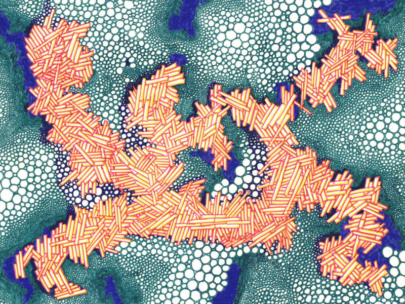 "Treibholz" ©1972 Josi